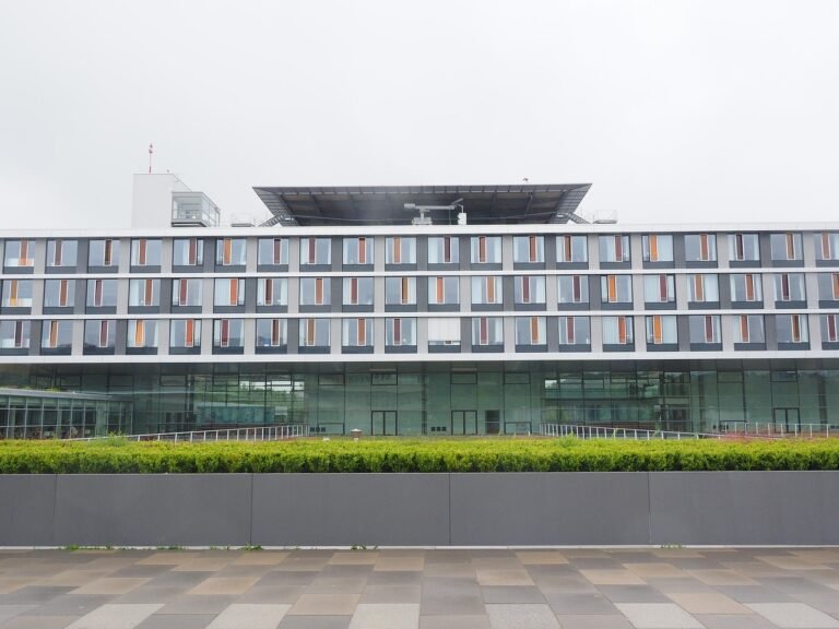 Does Westland University Offer Nursing? Everything You Need to Know