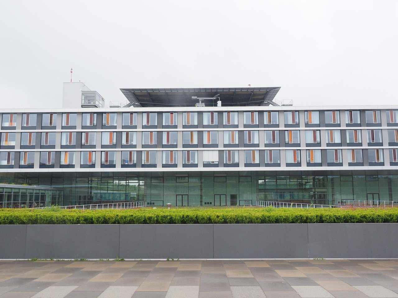 Does Westland University Offer Nursing? Everything You Need to Know